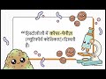 MEDICAL MICROBIOLOGY PART 2 (HINDI)