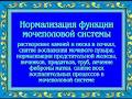 Орис Лечение мочеполовой системы у мужчин и женщин