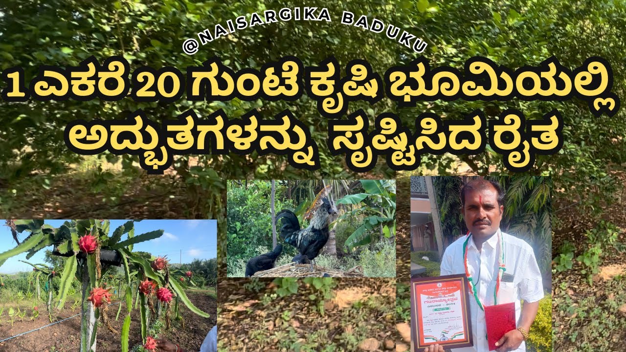 1 ಎಕರೆ 20 ಗುಂಟೆ ಕೃಷಿ ಭೂಮಿಯಲ್ಲಿ ಅದ್ಭುತಗಳನ್ನು  ಸೃಷ್ಟಿಸಿದ ರೈತ | Natural Farmig | 🇮🇳💛❤️