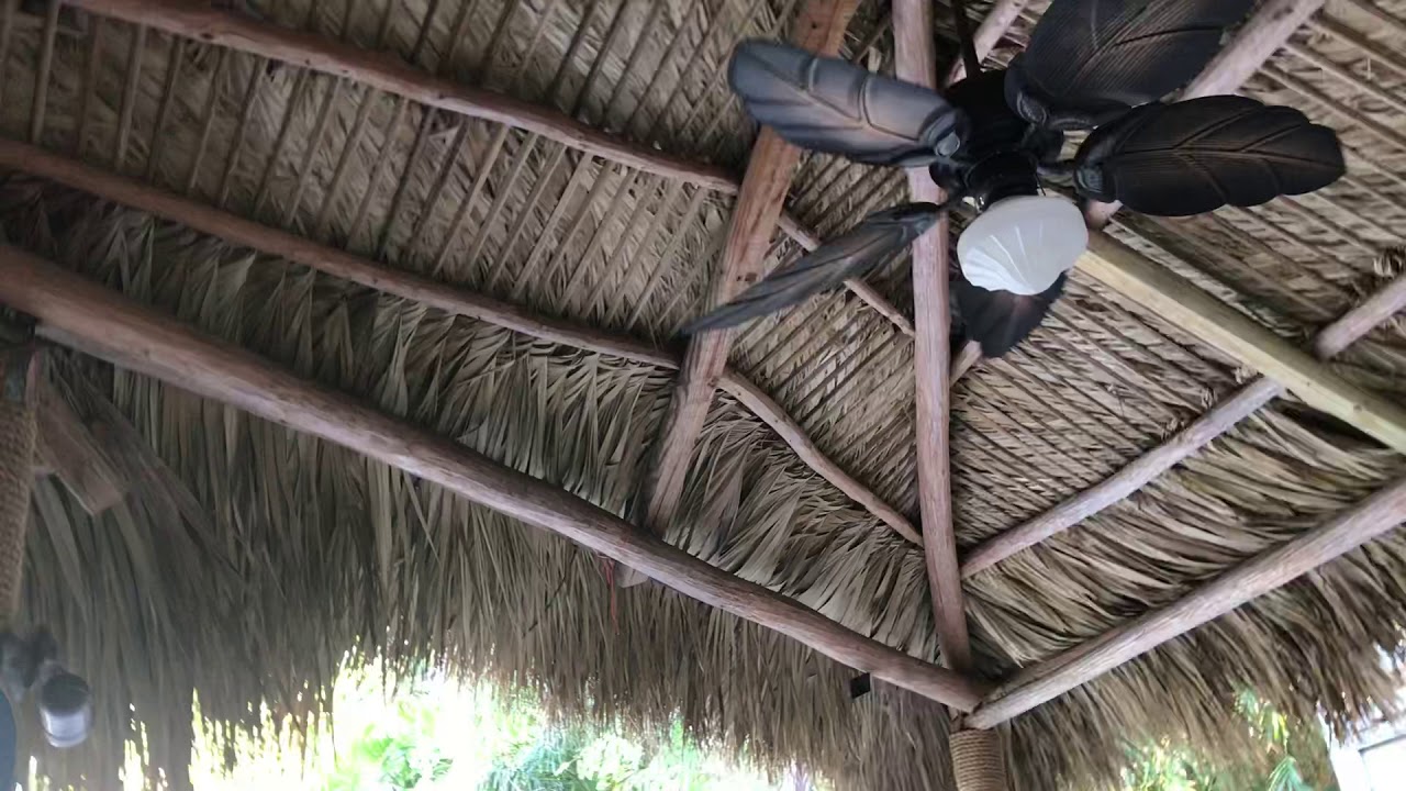 52 Hampton Bay Nassau Ceiling Fans Youtube