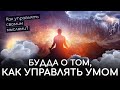 Будда о том как управлять своим умом. Правильная речь. Буддизм о контроле ума. Как управлять мыслями