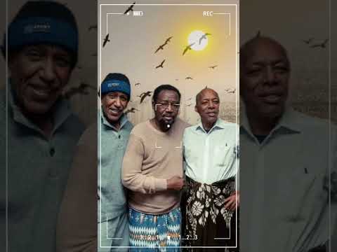 Dr Ali Birra Ali Shabo Afendi Siyo Oromia Oromomusic2024 Jabbeharartube SharmarkeAdan