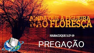 Even If the Fig Tree Does Not Blossom - Chilling Sermon 2019