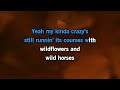 Lainey Wilson - Wildflowers And Wild Horses [Karaoke Version]