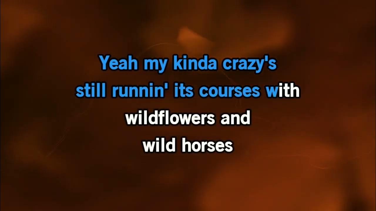 Lainey Wilson Wildflowers And Wild Horses [Karaoke Version] YouTube