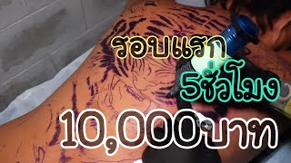 “Tiger tattoo fullback Japanese style”เสือเต็มหลังรอบแรก5ชั่วโมงหนึ่งหมื่นบาท//สักกะบอย-ช่างบอยพัทยา