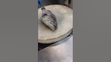 fresh professional grouper fish cutting slice skills #short video