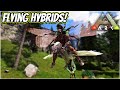 Making A Bunch Of Low Tier HYBRIDS That Fly!! || Ark Hybrids Ep 2!