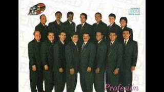 Golpe De Gracia - Orquesta La Identidad (Profesion Salsa-1994)