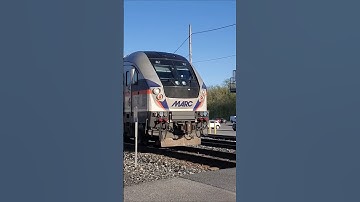MARC commuter train stopping in Brunswick, Maryland Then backing into the yard #train #shorts