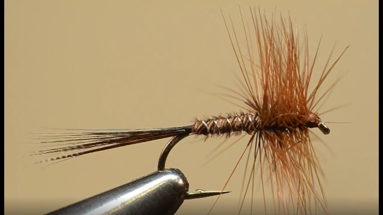 Fly Fishers International Bronze Award Fly Tying: Dry PT Variant