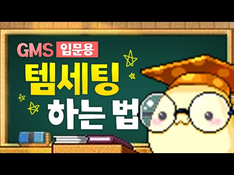 [메이플] GMS 입문용 템세팅 하는법 [총정리]