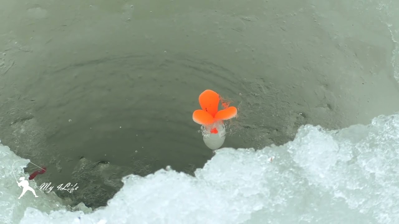 Рыбалка 28 02 26