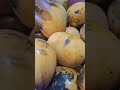 🥭 🥭