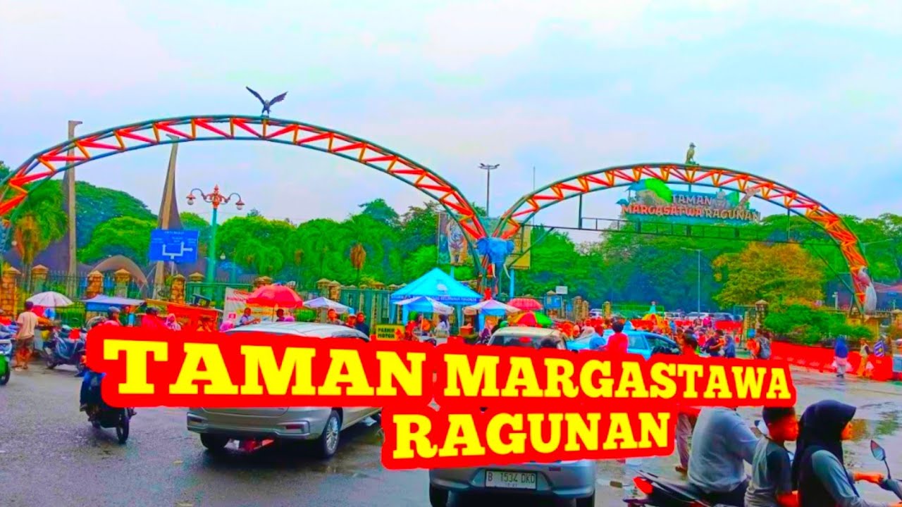 DISINILAH PUSATNYA SATWA BERKUMPUL || WISATA TAMAN MARGASATWA RAGUNAN ...