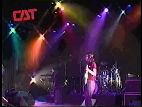 CAT CM(1998)