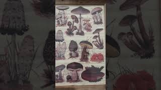 Fun little project today! #DIY #mushroom #canvas #loveit