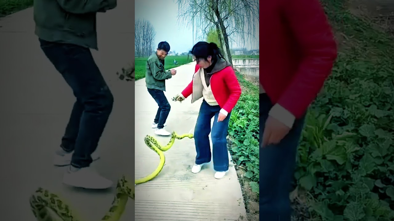 Must Watch New Special Comedy Video 2025 😎 Totally Amazing Comedy 2025 