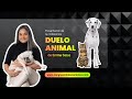 Duelo animal desde una mirada transpersonal.