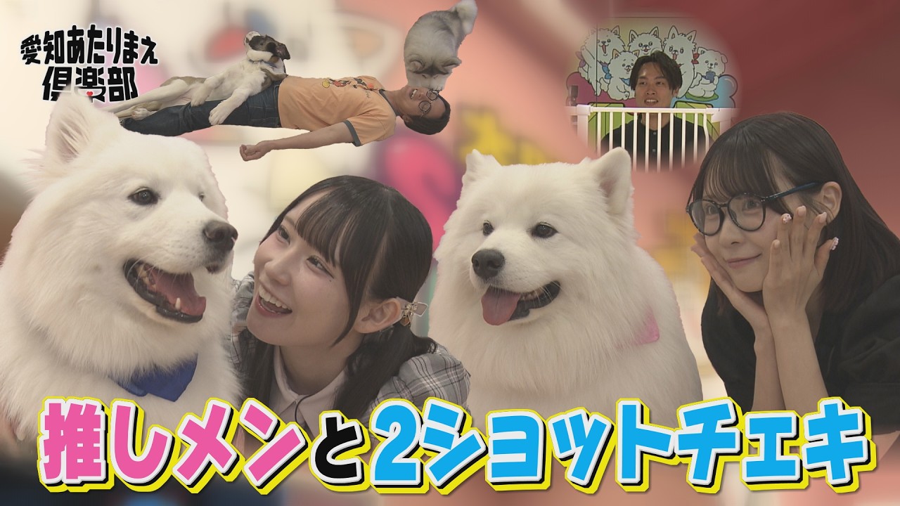 癒し】SKE48大村杏＆浅井裕華が“推し犬”と2ショットチェキ撮影
