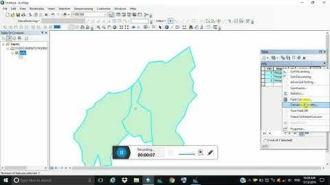 Calculate Area in ArcGIS