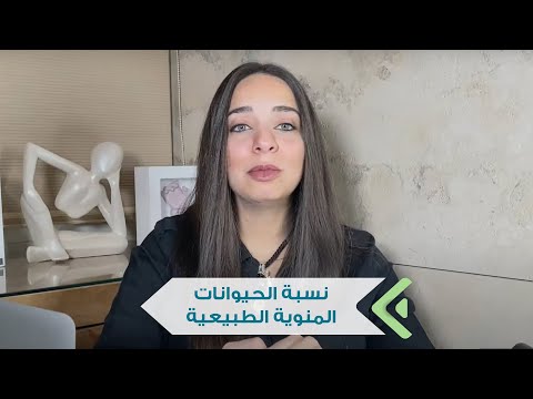 فيديو: كم عدد السعرات الحرارية عندما تحصل على الأنابيب؟