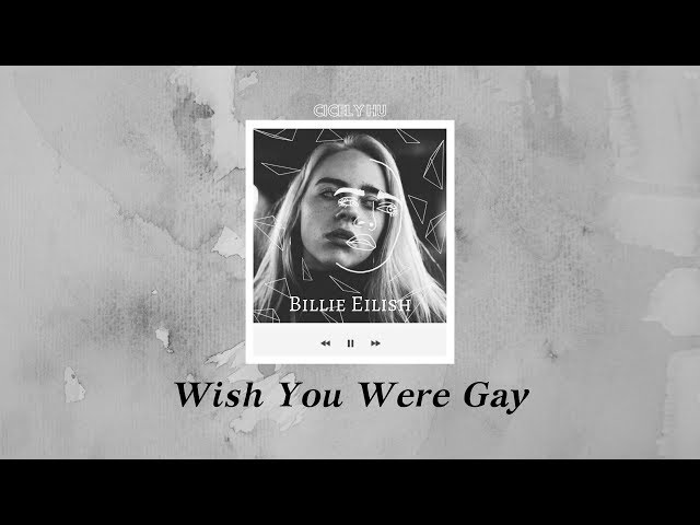 Billie Eilish - Wish You Were Gay ▎若你是同性戀，該有多好   ▎中文字幕 Lyrics class=