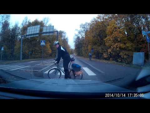 Video: Pyöräilijä Auttaa Loukkaantunutta Pentua Turvallisuuteen