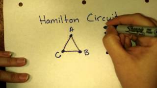 What is a Hamilton circuit?