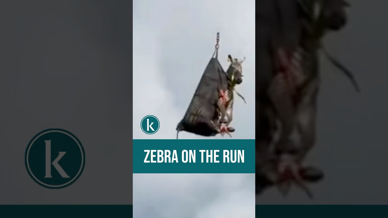 Marjorie and Steve Harvey Continue to Take Paris by Storm, Wearing Monot,  Tom Ford, Dior and Others + Where to Get the Looks! - Fashion Bomb Daily, image size:1280x720