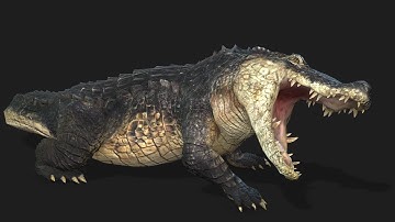 Alligator #2 - UNREAL ENGINE 5