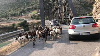 Traffic Jam in Albania - Ura e Dragotit Traffic Jam in Albania - Ura e Dragotit