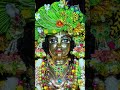 Shree Krishna 🚩🦚🙏 #trendingshorts #love #devotionalbhajan #explore #radheshyam #harekrishna