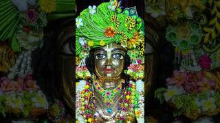Shree Krishna 🚩🦚🙏 #trendingshorts #love #devotionalbhajan #explore #radheshyam #harekrishna