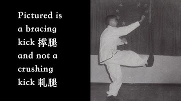 崩捶 Part 40: Modified with Crushing Kick [Praying Mantis Kung Fu 螳螂拳]