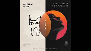 Andhim x Shimza & LevyM - Acido No Shape Without You (DJ Edit / Mashup)
