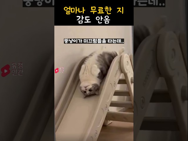 얼마나 무료한지 감도 안 옴