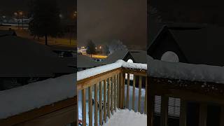 snowing 01/25/2023 Springfield MO #winterstorm #shorts