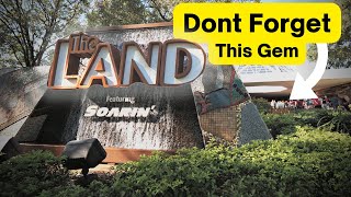 Experience Living With The Land Like Never Before | Real 3D Audio