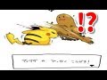 【ポケモン面白】いまだかつて解明されていないポケモンの謎