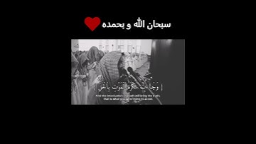 سورة ق محمد اللحيدان#المصحف#اكسبلور#قرآن#القرآن_الكريم#الرحمن#محمد_اللحيدان