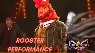 Rooster sings \