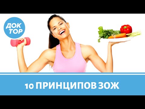 10 главных правил здорового образа жизни