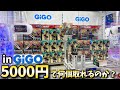 【天国と地獄】GiGOで5000円でフィギュア何個取れるのか？やってみた結果【クレーンゲーム】