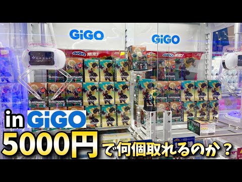 まとめ購入状態確認用600■テギョン ver.■『GO CRAZY』 公式】CRAZY RACCOON ONLINE STORE