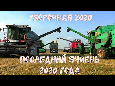 Убирают последние гектары ячменя - 2020 Красивая и дружная уборочная Полесье, Вектор 410 и ДОН-1500Б