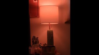 Kasa Smart Bulb, Dimmable Color Changing Light Bulb Work with Alexa and Google Home, 1000 Lum Review