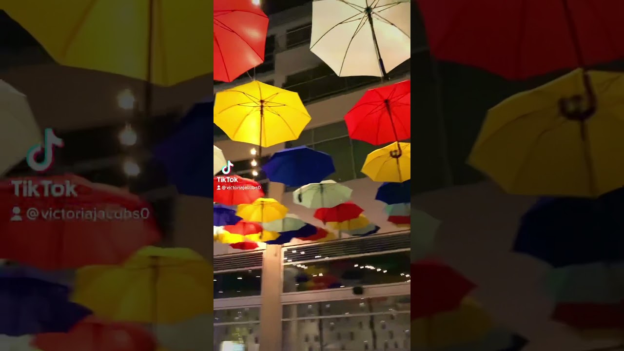 The Metropolitan Umbrella Alley In Charlotte, NC! shorts YouTube