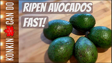 Jak se dočkat avokáda?