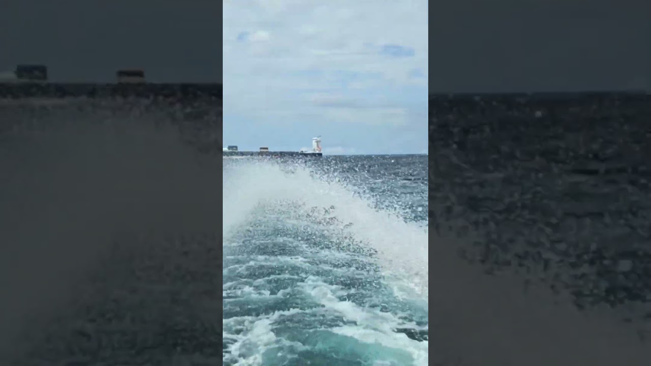 TRAINING AND TESTING 